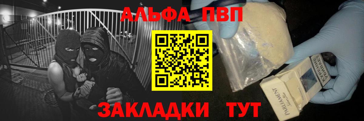 Alfa_PVP СК КРИС Курчалой