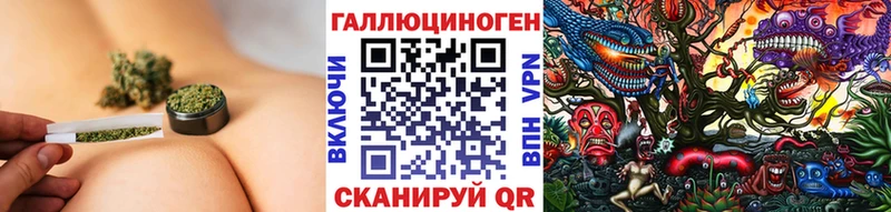 Галлюциногенные грибы Psilocybe  Курчалой 