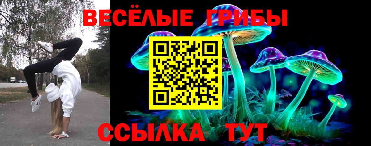 Псилоцибиновые грибы прущие грибы  Вход с VPN  Курчалой 